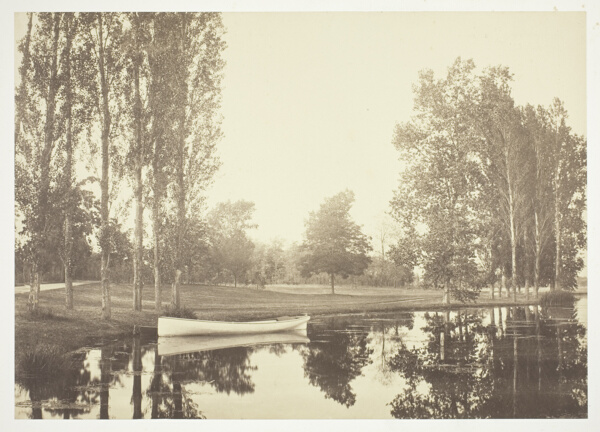 Untitled, from the series 