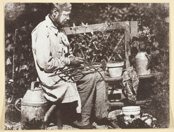 Bayard Jardinier