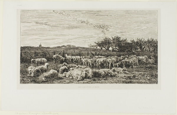 Meadow with sheep