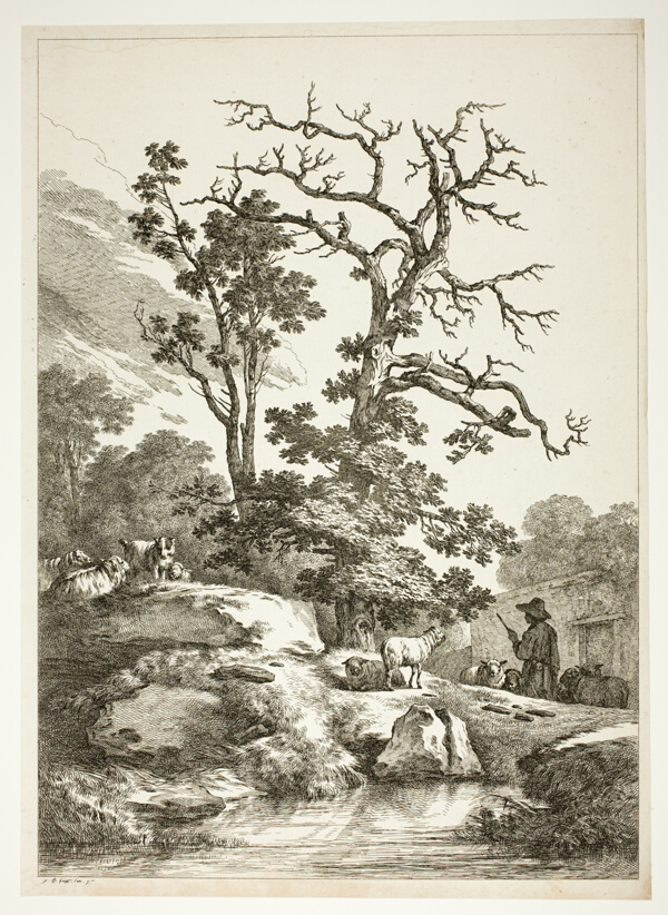 Bucolic Scene