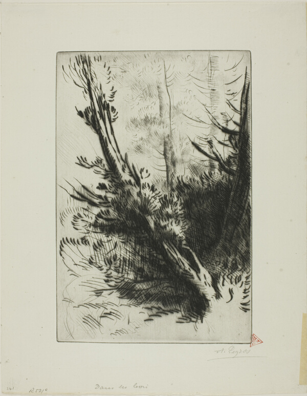 In a Wood
