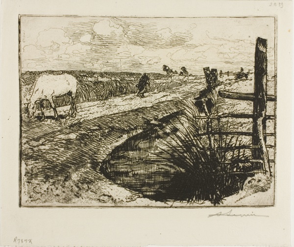Road in the Marais, Vendée