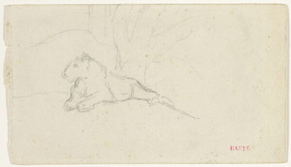 Lioness Lying near a Tree