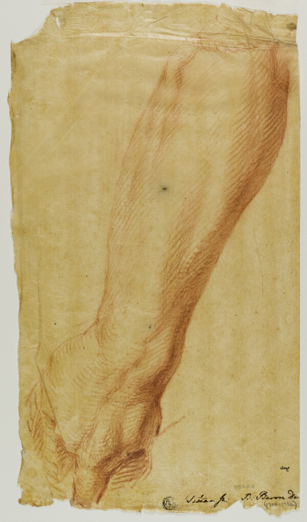Left Arm of a Hunter