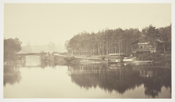 Untitled, from the series 