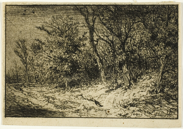 Road at the Edge of a Wood
