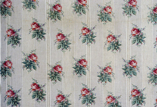Panel (Dress Fabric)