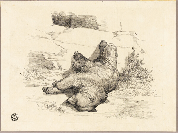 Russian Bear