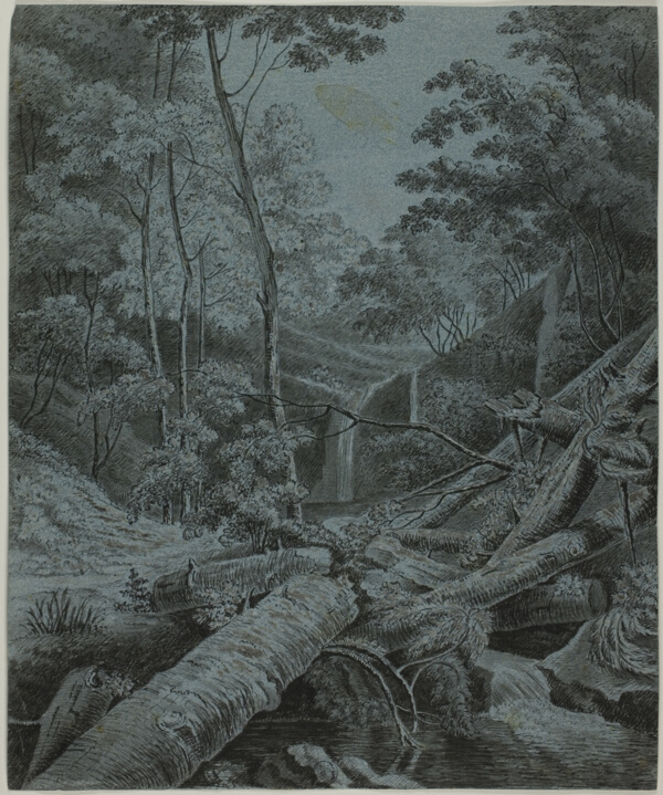 Waterfall and Fallen Logs in Forest