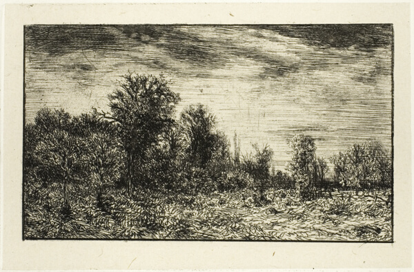 Edge of a Wood, under Cloudy Sky