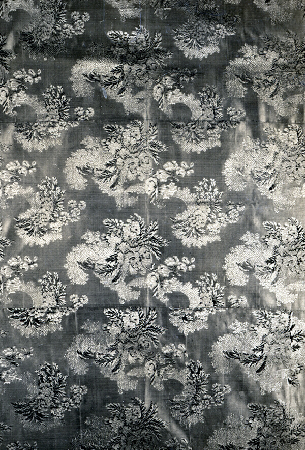 Panel