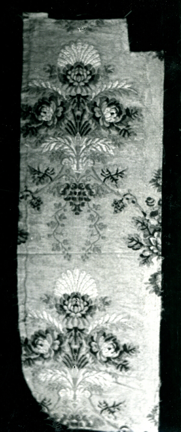 Fragment