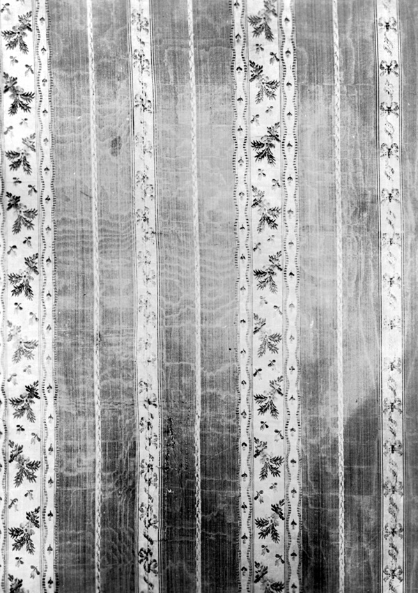 Panel