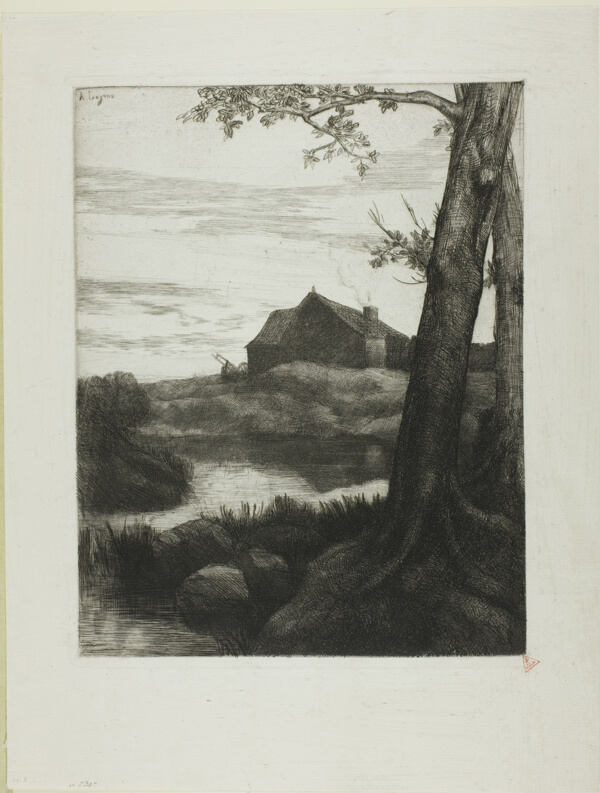 Farm with Large Tree