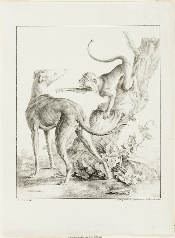 Dog and Monkey