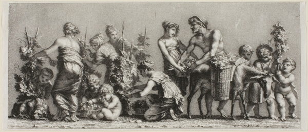 Scene of Grape Harvest