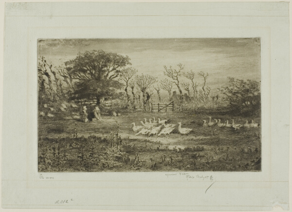 Geese