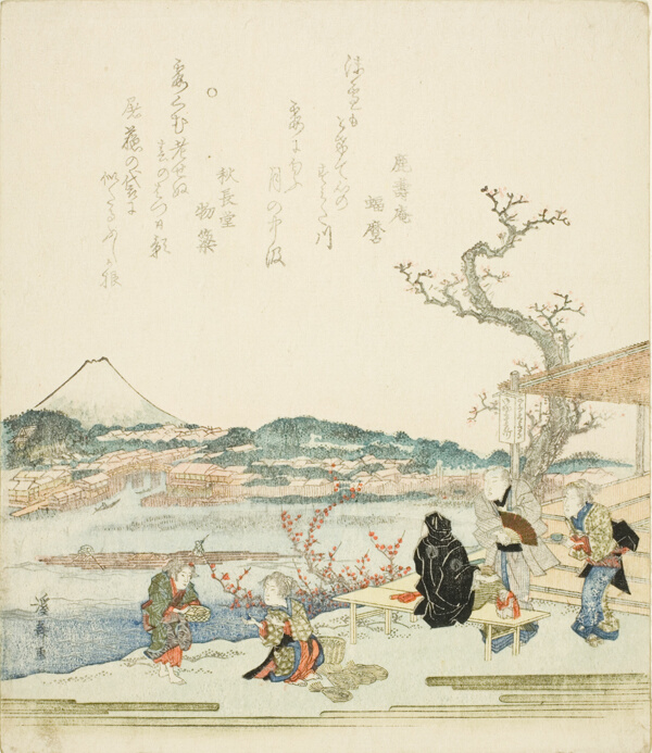 View of Mount Fuji from a tea house