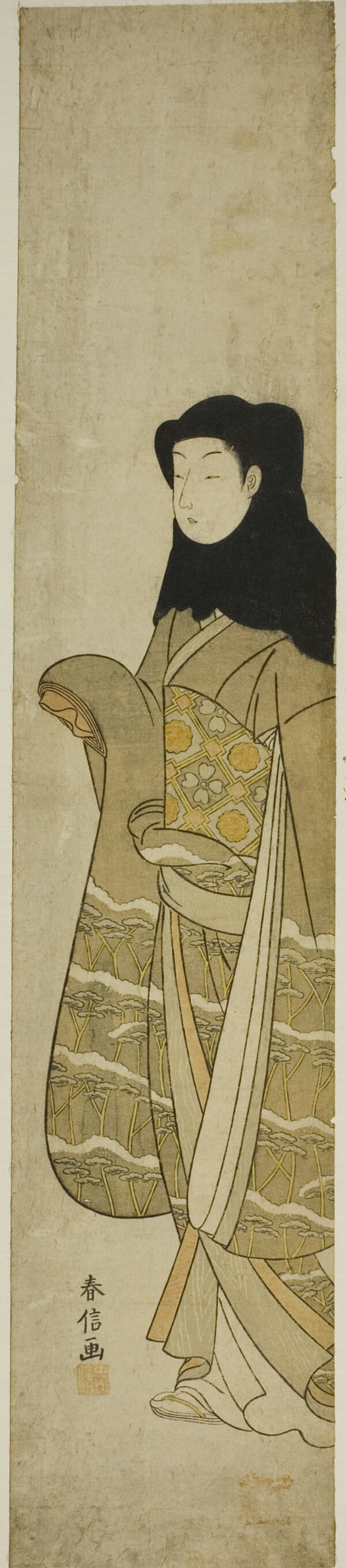 Woman Wearing Black Hood