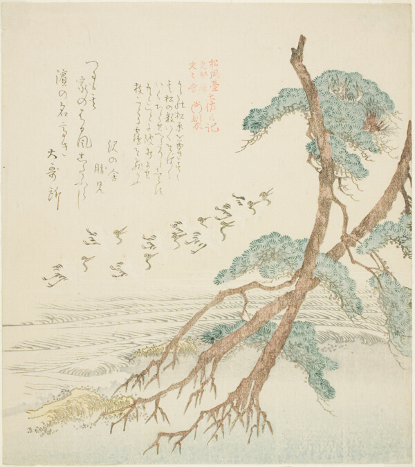 Pine Trees, from the series 