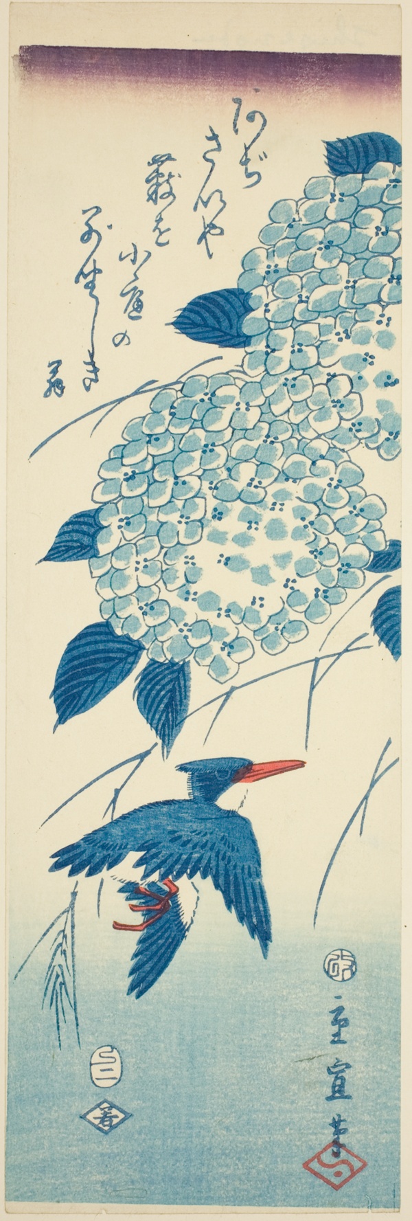 Kingfisher and hydrangea