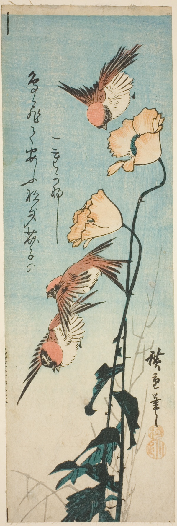 Sparrows and poppies