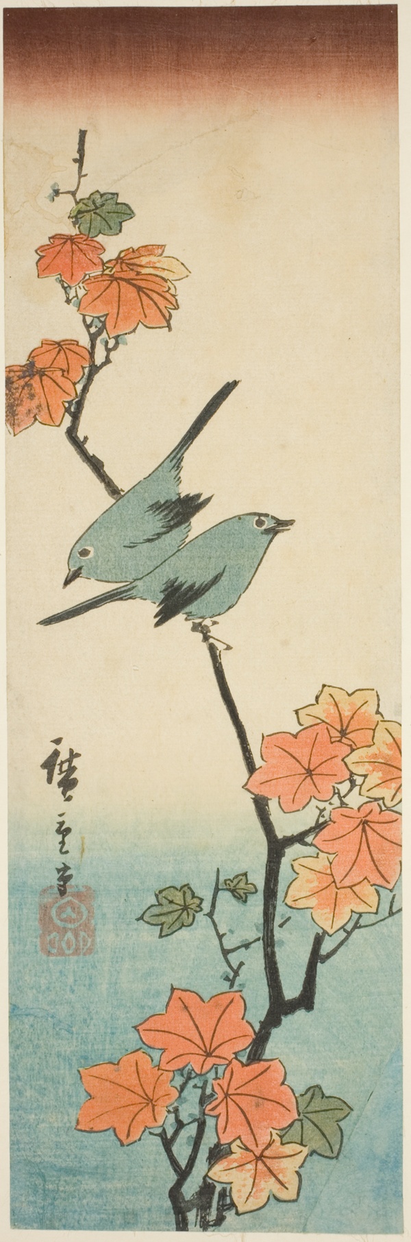Japanese white-eyes on a maple branch
