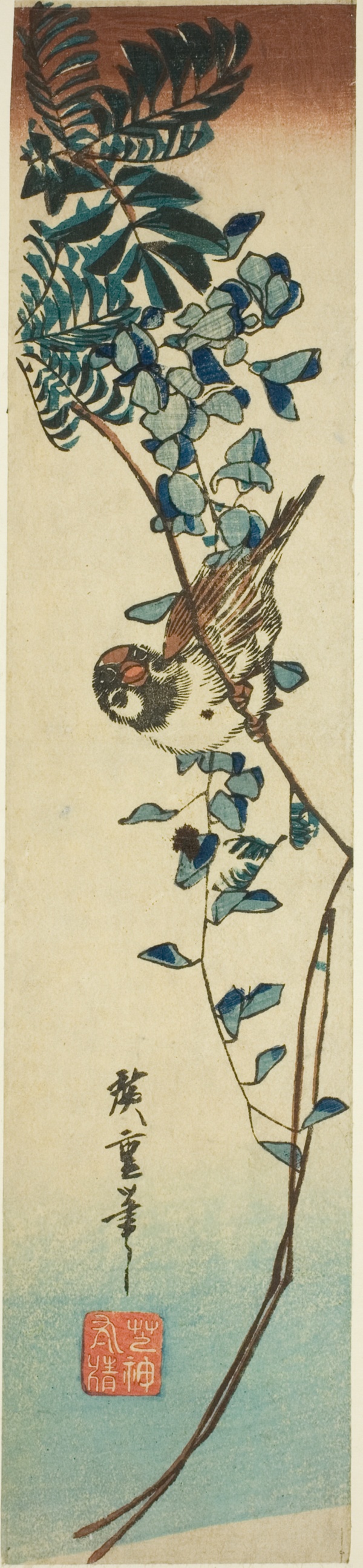 Sparrow and wisteria