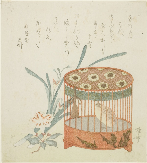 Bird cage and flowers