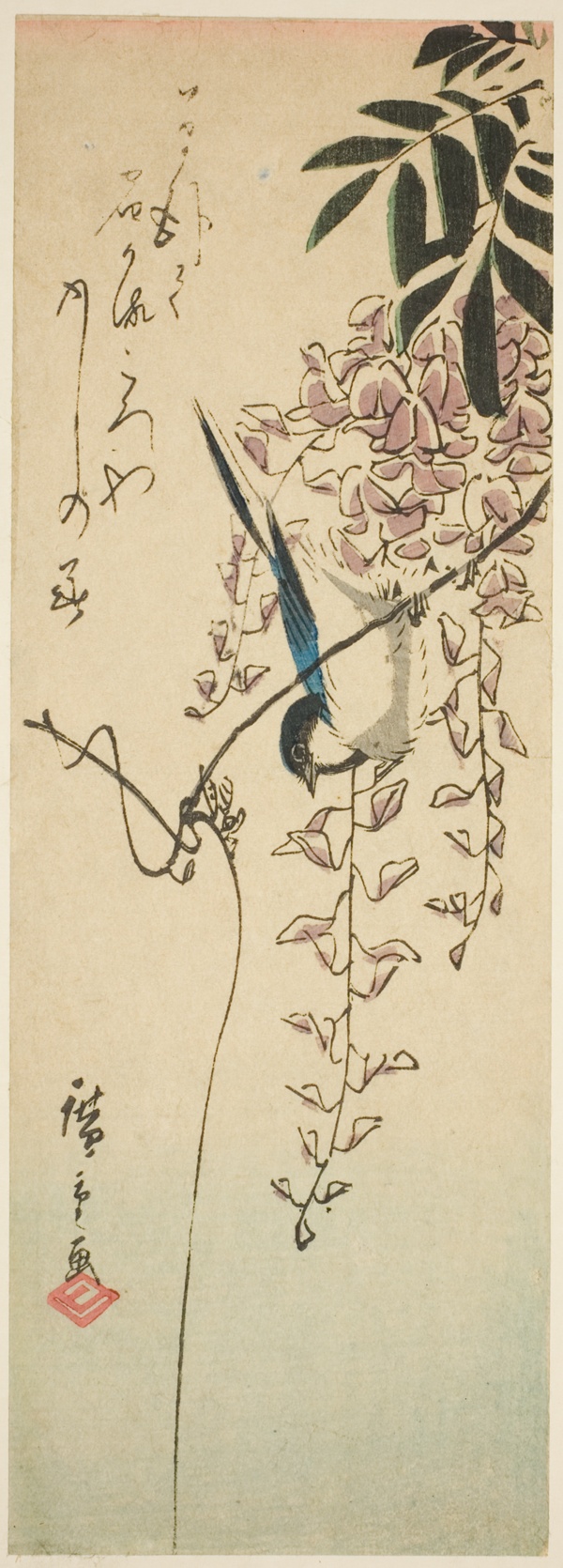 Bird on wisteria
