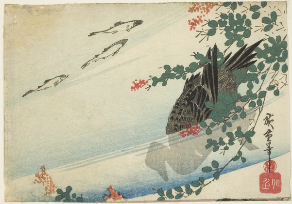 Trouts, duck, and bush clover