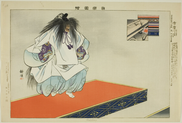 Raiden, from the series 