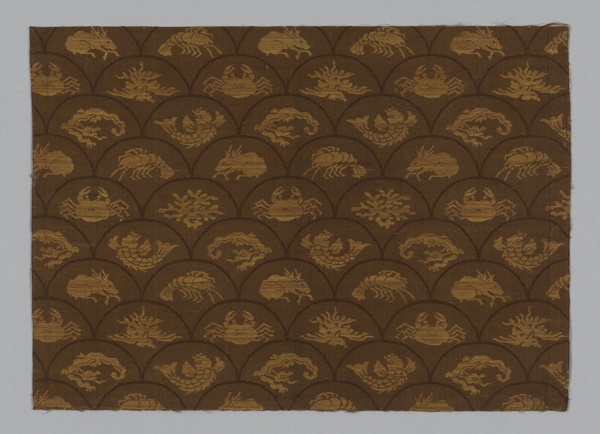 Fragment