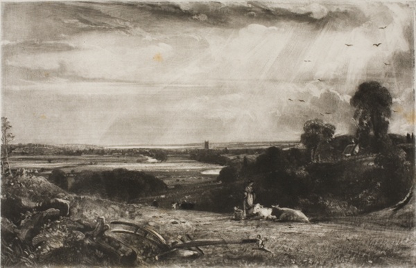 Summer Morning