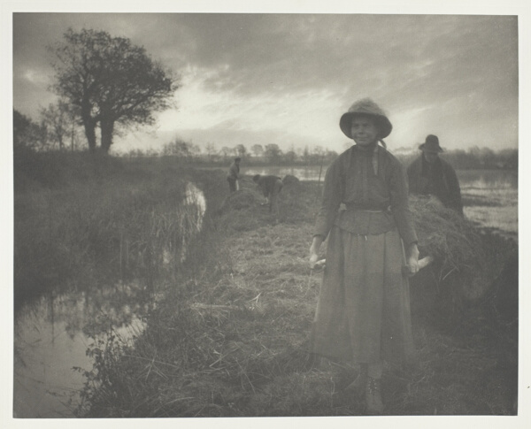 Poling the Marsh Hay
