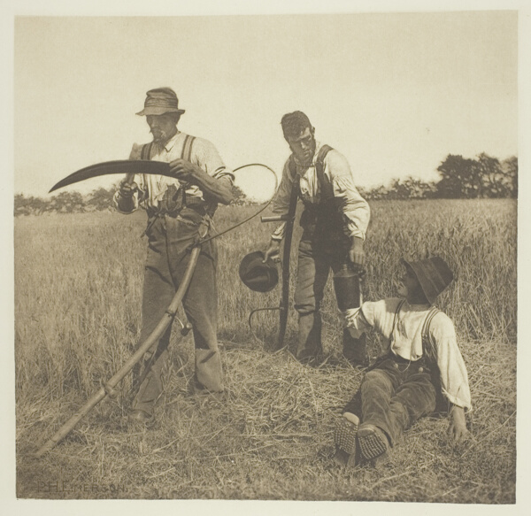 In the Barley-Harvest (Suffolk)