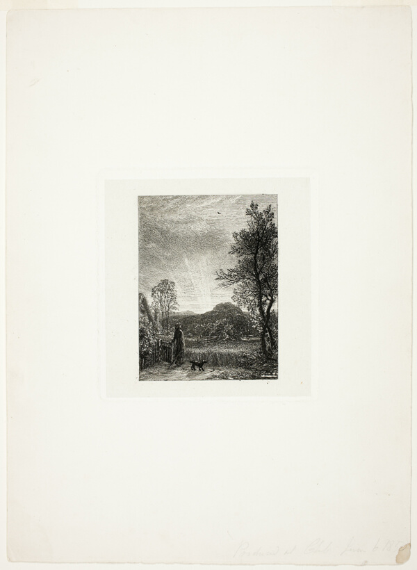The Skylark