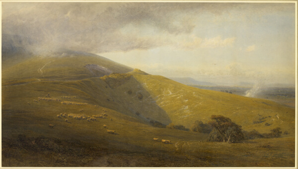 A View on the South Downs