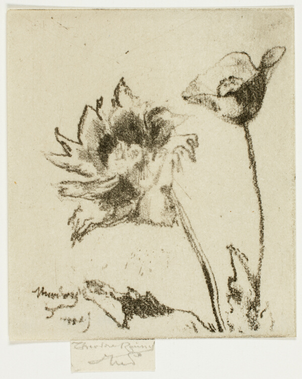 Two Flowers
