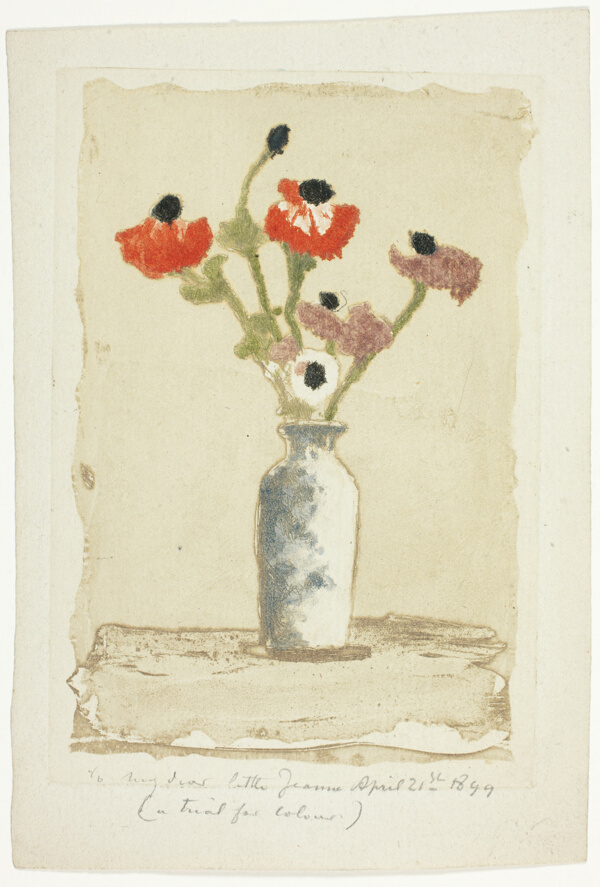 Anemonies