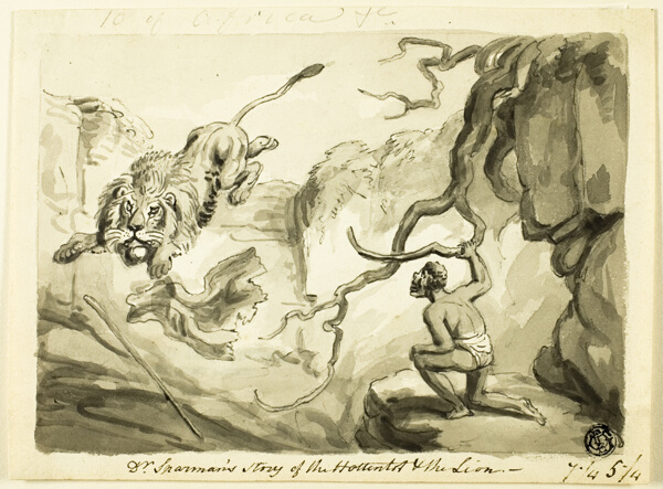 Dr. Sparman's Story of the Hottentot and the Lion