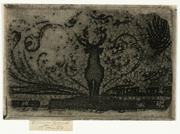 A Stag, A Study