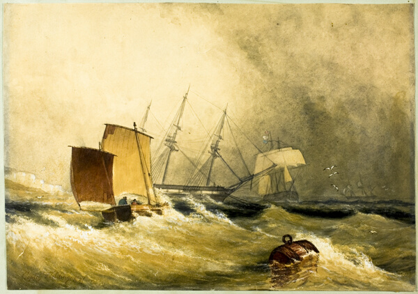Marine Scene