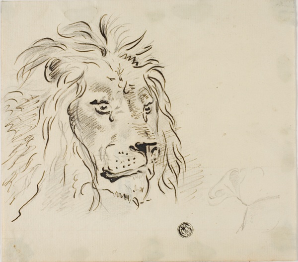Lion's Head