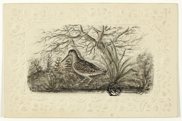 Grouse