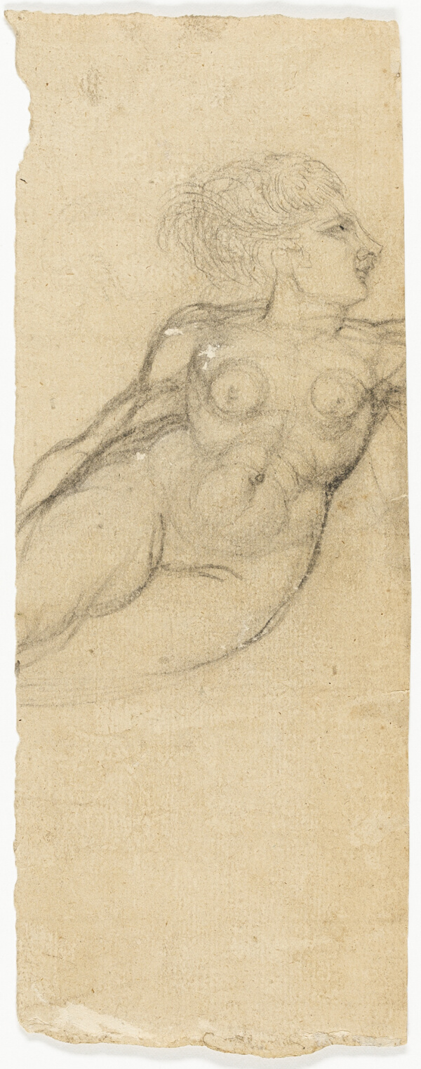 Studies of Nudes