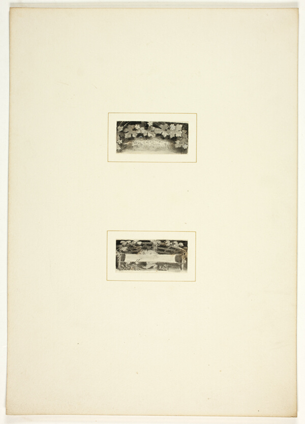 Study for a plate from Telemachus