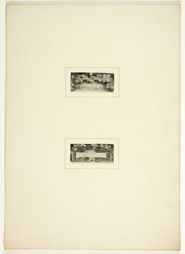 Study for a plate from Telemachus