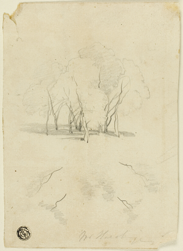 Clump of Trees