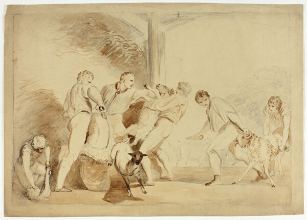 Shearing the Sheep